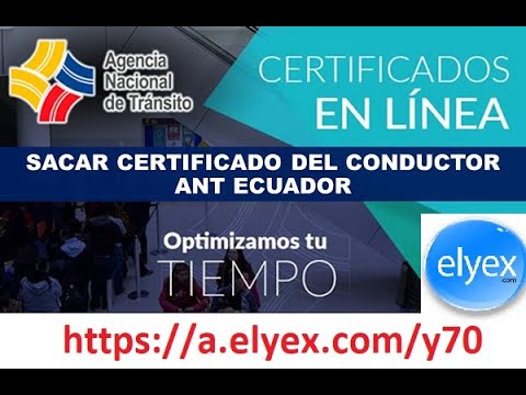 Certificado del conductor ANT en linea