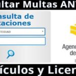 Consultar multas ATM Guayaquil por placa o licencia